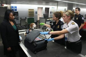 Travel jobs in the USA